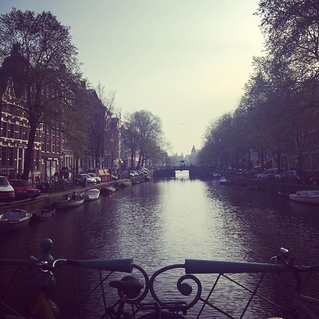 Krachtig #amsterdam #leavingflatbush